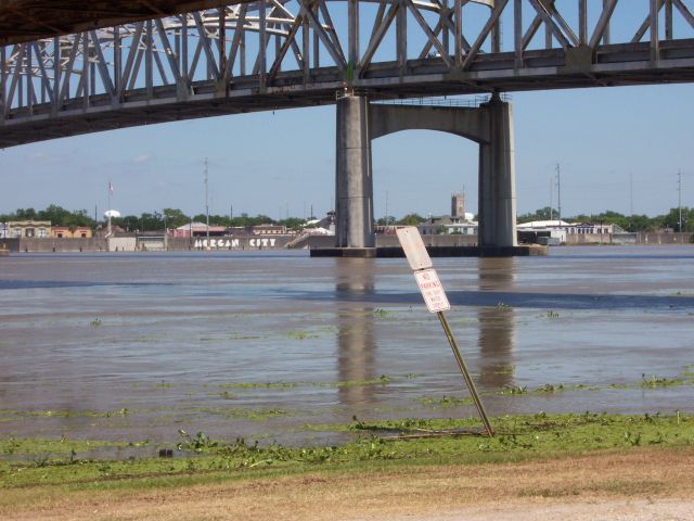 Atchafalaya  River in Morgan City taken from the Berwick side of the river. Flood  waters cover the shrimp boat docks and are leaking through the cement  flood wall gates.