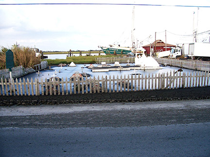 picresize027.jpg