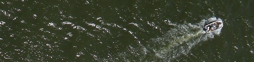 Partol Boat - Julia our 17' Boston Whaler