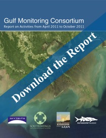 Gulf Monitoring Consortium Update Report