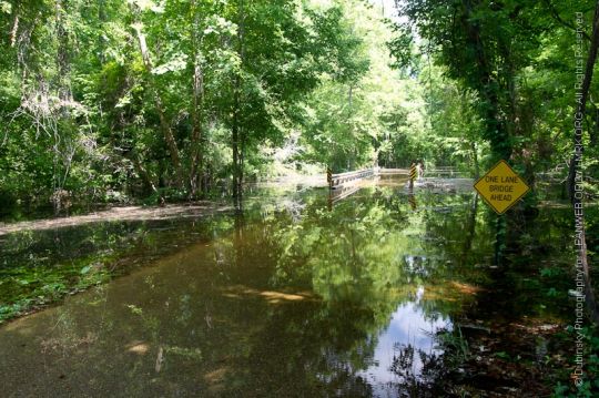 flooded roads in St. Francisville, LA