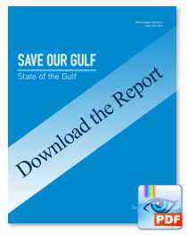 Download the State of Our Gulf Report - (4MB PDF) Download the State of Our Gulf Report - (4MB PDF)