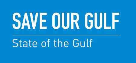 State of the Gulf Report