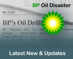 Latest news on the Oil Disaster in the Gulf